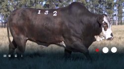 U132
