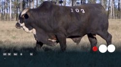 V102