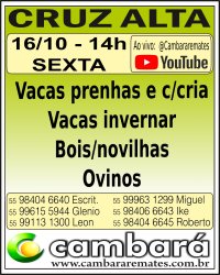 Gado Geral - Cruz Alta - RS