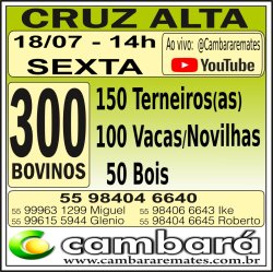 Gado Geral - Cruz Alta