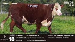 lote 18