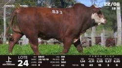 lote 24