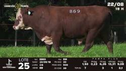 lote 25