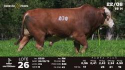 lote 26