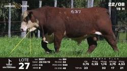 lote 27 - TAT E637