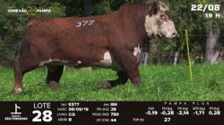 lote 28 -TAT E377
