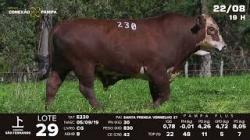lote 29 - TAT E230