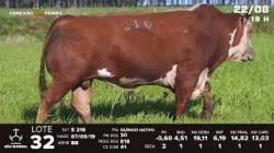 lote 32 - TAT S216
