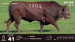 lote 41 - TAT U1302