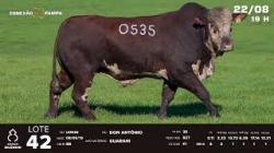 lote 42 - TAT U0535