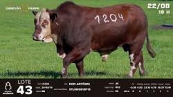 lote 43 - TAT U1204