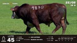 lote 45 - TAT U1270