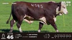 lote 46 - TAT U4185