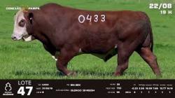 lote 47 - TAT U433