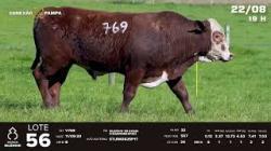 lote 56 - TAT V769