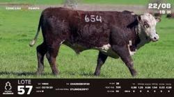 lote 57 - TAT V654