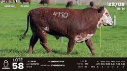 lote 58 - TAT V4110