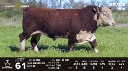 lote 61 - TAT S198