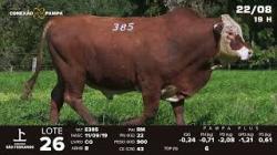 lote 26 - TAT E385