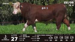 lote 27 - TAT E043