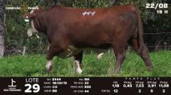 lote 29 - TAT E444
