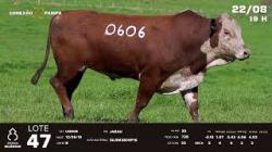 lote 47 - TAT U0606