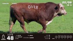 lote 48 - TAT U0728