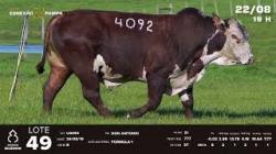 lote 49 - TAT U4092