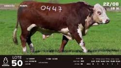 lote 50 - TAT U0447