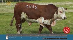 TAT W2282