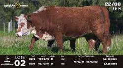lote 02