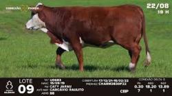 lote 09