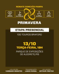 Conex�o Pampa Primavera - MACHOS