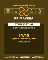 Conex�o Pampa Primavera - Femeas Braford