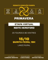 Conex�o Pampa Primavera - Femeas Hereford