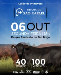 Remate Estncia So Rafael