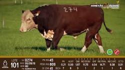 lote 101 - Hereford 3a