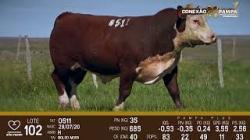 lote 102 - Hereford 2a