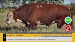 TAT U 94 - S�O MANOEL