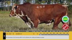 TAT U458 - S�O MANOEL