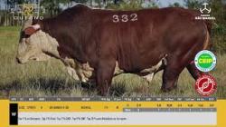 TAT U332 - S�O MANOEL