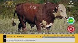 TAT U418 - S�O MANOEL