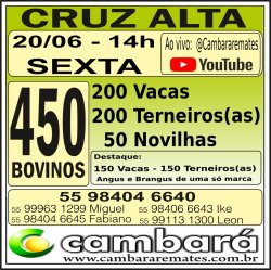 Gado Geral - Cruz Alta