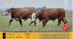 TAT X565 - X738 - SIL�NCIO