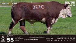 lote 55 - TAT V3270