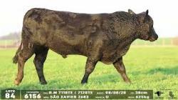 lote 84 - 6156