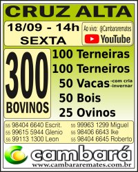 Gado Geral - Cruz Alta - RS