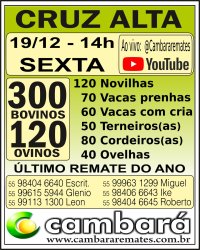 Gado Geral - Cruz Alta