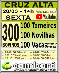 Gado Geral - Cruz Alta - RS