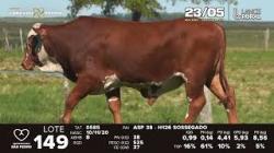 Lote 149